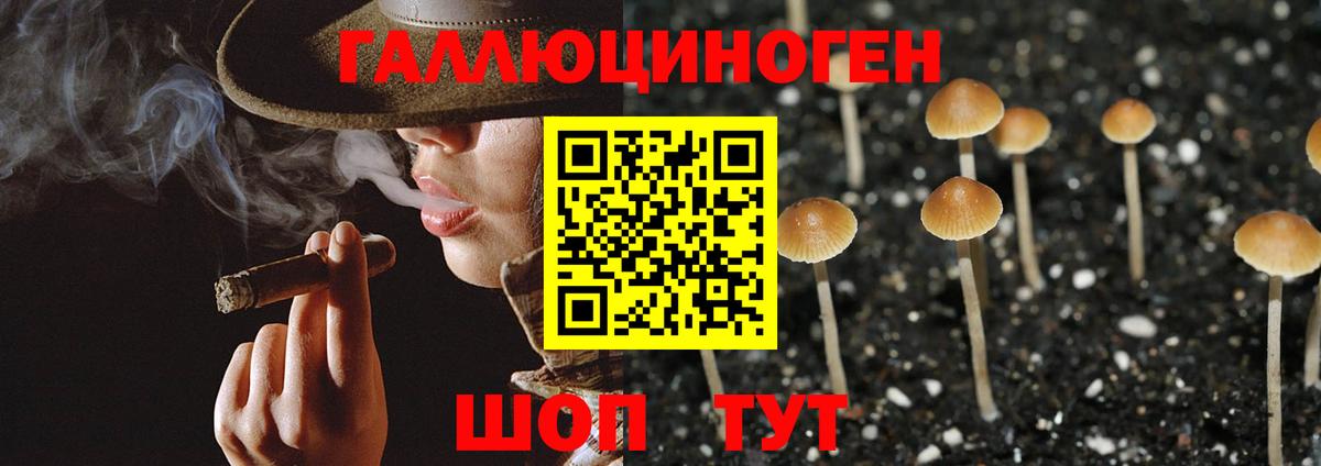 Галлюциногенные грибы Psilocybine cubensis  Вход с VPN  Нововоронеж  Псилоцибиновые грибы MAGIC MUSHROOMS 