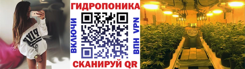 маркетплейс клад Нововоронеж Канабис марихуана купить цена